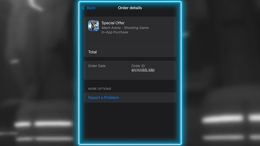 iPhone Transaction.png